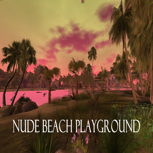 Nude Beach Playground